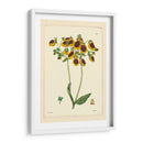 Curtis Amarillo Botánico I - Vision Studio | Cuadro decorativo de Canvas Lab