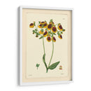 Curtis Amarillo Botánico I - Vision Studio | Cuadro decorativo de Canvas Lab