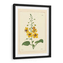 Amarillo Curtis Botanical Ii - Vision Studio | Cuadro decorativo de Canvas Lab