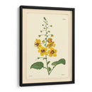 Amarillo Curtis Botanical Ii - Vision Studio | Cuadro decorativo de Canvas Lab