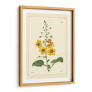 Amarillo Curtis Botanical Ii - Vision Studio | Cuadro decorativo de Canvas Lab
