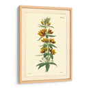 Amarillo Curtis Botánica Iv - Vision Studio | Cuadro decorativo de Canvas Lab