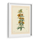 Amarillo Curtis Botánica Iv - Vision Studio | Cuadro decorativo de Canvas Lab