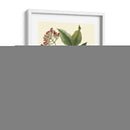 Crimson Botanical I - Hierseman | Cuadro decorativo de Canvas Lab