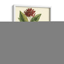 Crimson Botanical Iv - Hierseman | Cuadro decorativo de Canvas Lab