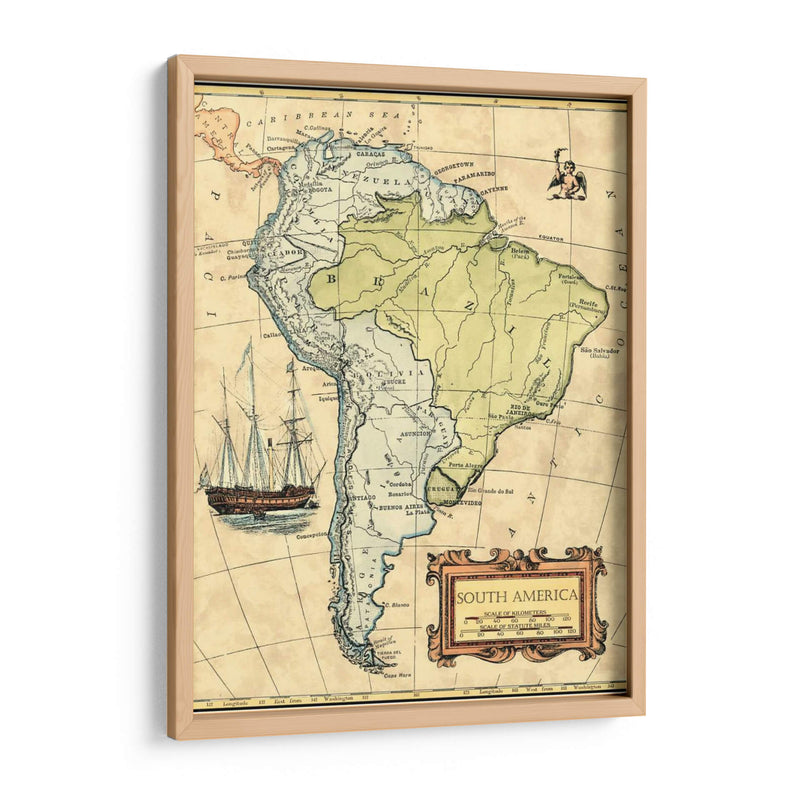 Mapa De América Del Sur - Vision Studio | Cuadro decorativo de Canvas Lab