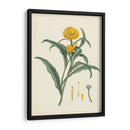 Esplendores De Botánica I | Cuadro decorativo de Canvas Lab