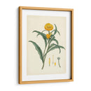 Esplendores De Botánica I | Cuadro decorativo de Canvas Lab