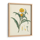 Esplendores De Botánica I | Cuadro decorativo de Canvas Lab