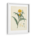 Esplendores De Botánica I | Cuadro decorativo de Canvas Lab
