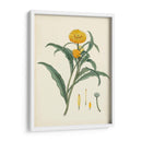 Esplendores De Botánica I | Cuadro decorativo de Canvas Lab