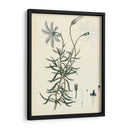 Esplendores De Botany Ii | Cuadro decorativo de Canvas Lab