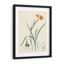 Esplendores De Botany Iii | Cuadro decorativo de Canvas Lab