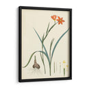 Esplendores De Botany Iii | Cuadro decorativo de Canvas Lab