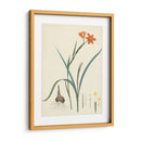 Esplendores De Botany Iii | Cuadro decorativo de Canvas Lab