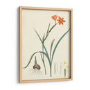 Esplendores De Botany Iii | Cuadro decorativo de Canvas Lab