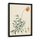 Esplendors De Botany Iv | Cuadro decorativo de Canvas Lab