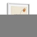 Esplendors De Botany Iv | Cuadro decorativo de Canvas Lab
