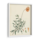 Esplendors De Botany Iv | Cuadro decorativo de Canvas Lab