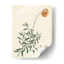 Esplendors De Botany Iv | Cuadro decorativo de Canvas Lab