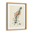 Esplendores De Botánica V | Cuadro decorativo de Canvas Lab