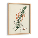 Esplendores De Botánica V | Cuadro decorativo de Canvas Lab