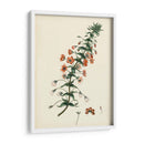 Esplendores De Botánica V | Cuadro decorativo de Canvas Lab