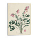 Esplendores De Botánica Vii | Cuadro decorativo de Canvas Lab