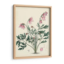 Esplendores De Botánica Vii | Cuadro decorativo de Canvas Lab