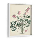 Esplendores De Botánica Vii | Cuadro decorativo de Canvas Lab
