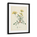 Esplendores De Botany Viii | Cuadro decorativo de Canvas Lab