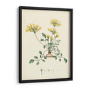 Esplendores De Botany Viii | Cuadro decorativo de Canvas Lab