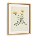 Esplendores De Botany Viii | Cuadro decorativo de Canvas Lab
