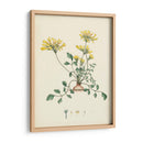 Esplendores De Botany Viii | Cuadro decorativo de Canvas Lab
