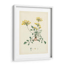 Esplendores De Botany Viii | Cuadro decorativo de Canvas Lab