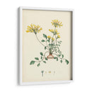 Esplendores De Botany Viii | Cuadro decorativo de Canvas Lab
