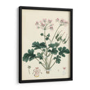 Esplendores De Botánica Ix | Cuadro decorativo de Canvas Lab