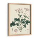 Esplendores De Botánica Ix | Cuadro decorativo de Canvas Lab