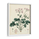 Esplendores De Botánica Ix | Cuadro decorativo de Canvas Lab