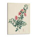 Esplendores De Botánica X | Cuadro decorativo de Canvas Lab