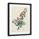 Esplendores De Botánica X | Cuadro decorativo de Canvas Lab