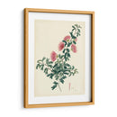 Esplendores De Botánica X | Cuadro decorativo de Canvas Lab