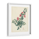 Esplendores De Botánica X | Cuadro decorativo de Canvas Lab