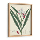 Esplendores De Botany Xi | Cuadro decorativo de Canvas Lab