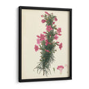 Esplendors De Botany Xii | Cuadro decorativo de Canvas Lab
