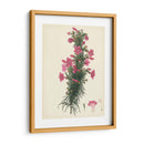 Esplendors De Botany Xii | Cuadro decorativo de Canvas Lab