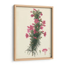Esplendors De Botany Xii | Cuadro decorativo de Canvas Lab