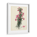 Esplendors De Botany Xii | Cuadro decorativo de Canvas Lab