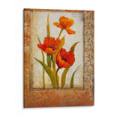 Tulip Insecto Ii - Tim OToole | Cuadro decorativo de Canvas Lab