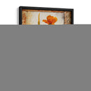 Tulip Insecto Ii - Tim OToole | Cuadro decorativo de Canvas Lab